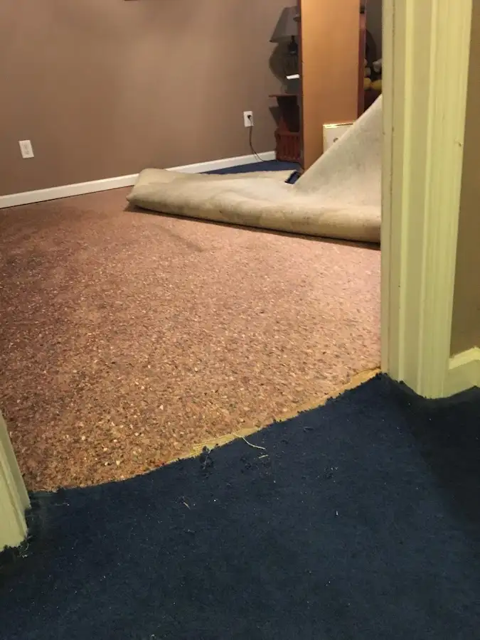 Carpet pad removal revealing water damage during Drying & Dehumidification in Ojus