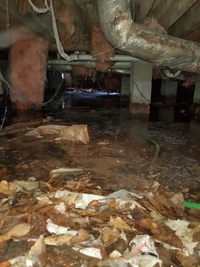 Crawl space flood assessment for Leak Detection & Repair in Ojus